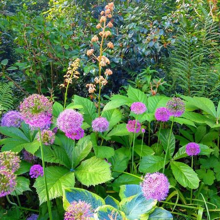 约瑟芬花园住宿加早餐旅馆 拉纳肯 外观 照片
