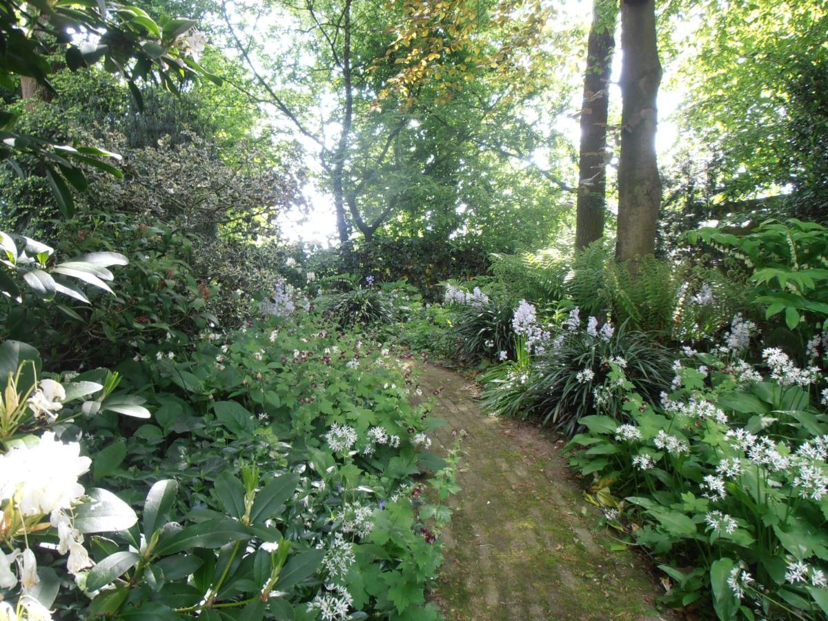 约瑟芬花园住宿加早餐旅馆 拉纳肯 外观 照片