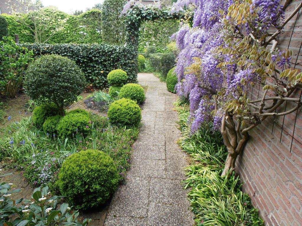 约瑟芬花园住宿加早餐旅馆 拉纳肯 外观 照片