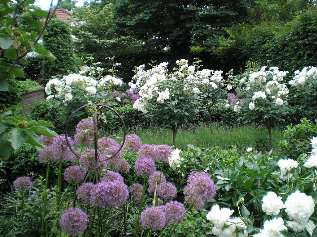 约瑟芬花园住宿加早餐旅馆 拉纳肯 外观 照片